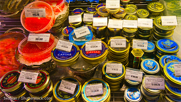 海產罐頭 海產罐頭