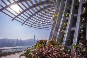 Avenue of Stars Avenue of Stars